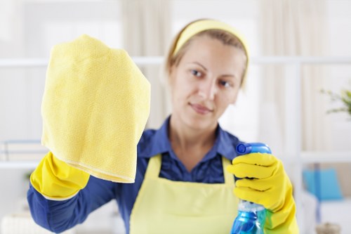 Professional carpet cleaning in an Ealing home living room