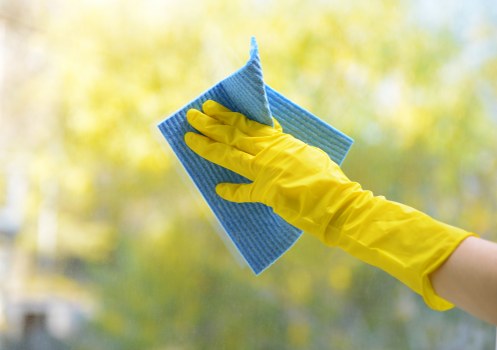 Carpet cleaning equipment used by a carpets cleaner in Ealing