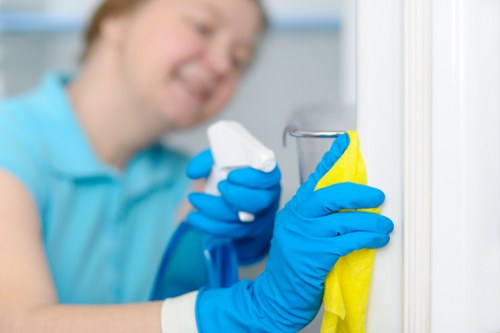 Kitchen appliance care from an oven cleaner in Ealing