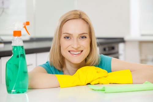 Deep cleaning service in Ealing for kitchen and bathroom spaces