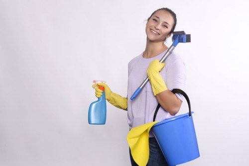 Living room deep cleaning in Ealing for dust and upholstery