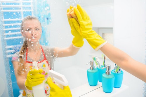 Deep oven cleaning service removing grease and grime