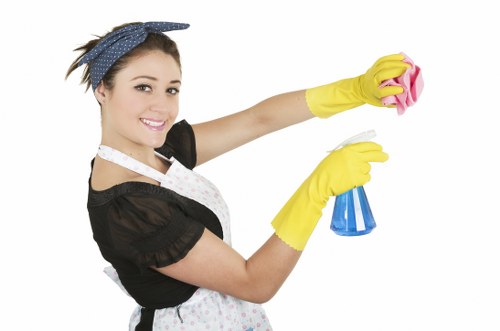 Deep carpet cleaning process in a modern Ealing property