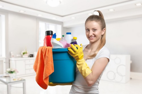 Domestic cleaning service in Ealing for kitchen and bathroom care