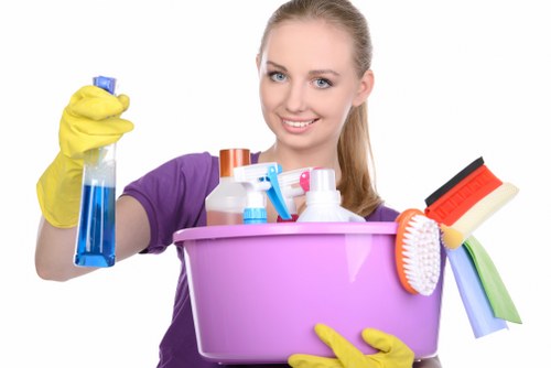 Stain removal and deep carpet care in Ealing property