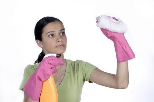 Seasonal domestic cleaning and home maintenance in Ealing
