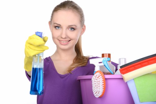 SSL-encrypted checkout for carpet cleaning payments
