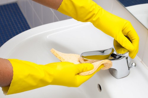 Steam cleaning equipment used for carpet cleaning in Ealing