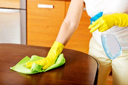 Specialist cleaner in Ealing delivering deep cleaning support